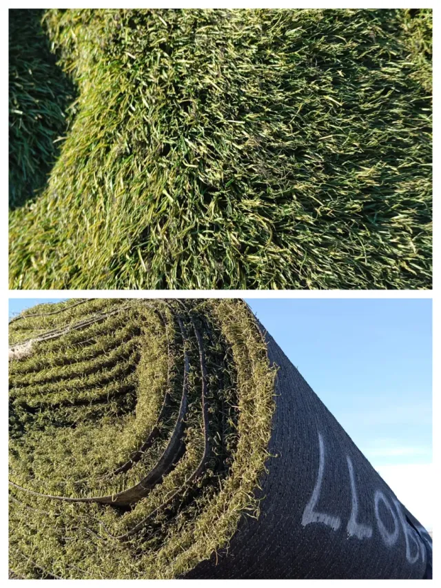 Venta césped artificial