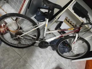 Bicicleta vieja