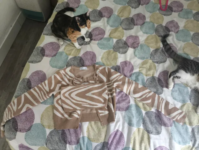 Conjunto top y cárdigan estampado cebra