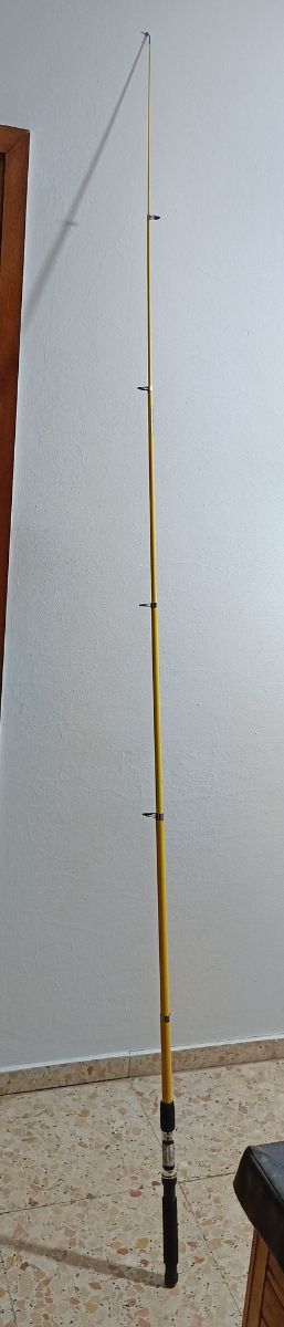 Canna da pesca 210 cm