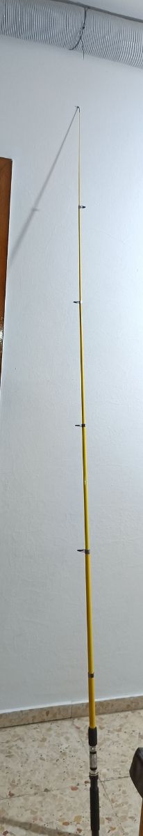 Canna da pesca 210 cm