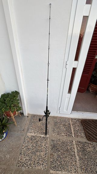 Caña de pescar y carrete Daiwa gs9 II