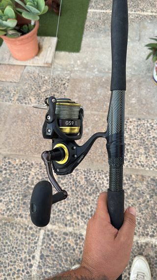 Caña de pescar y carrete Daiwa gs9 II