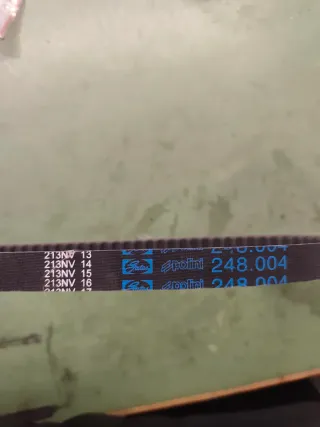 Cinghia Polini 248.004