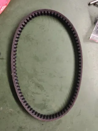 Cinghia Polini 248.004