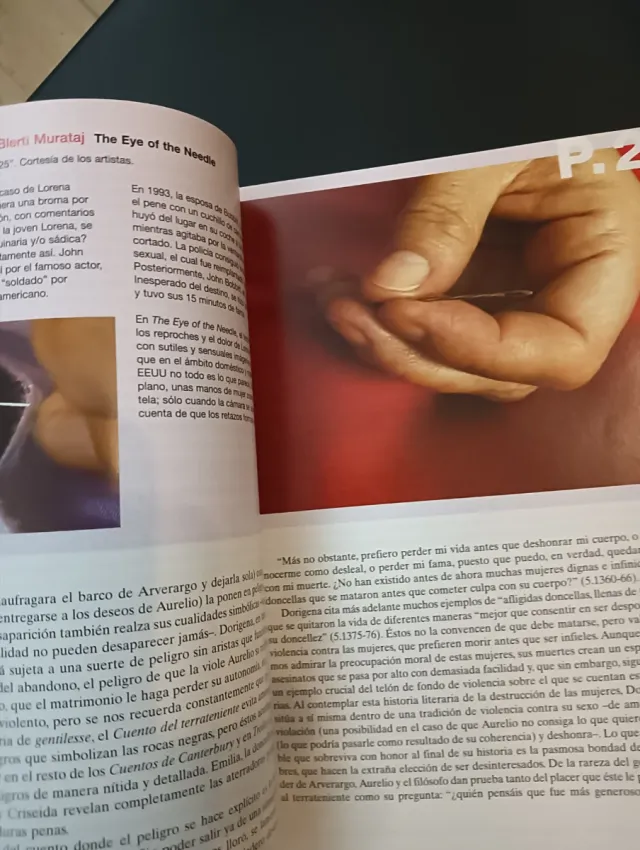 Cárcel de amor. Relatos culturales sobre la vio...