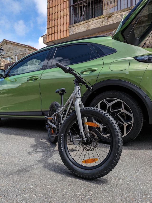 Giant STP 20 bicicleta 6-10 años