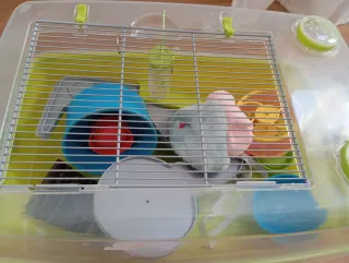 Jaula para hámster con accesorios