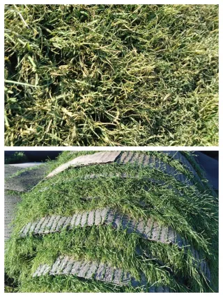 Venta de césped artificial