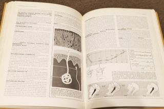 Enciclopedia de Medicina y Enfermeria Mosby