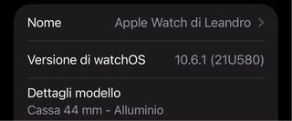 Apple Watch 4 Argento 44mm