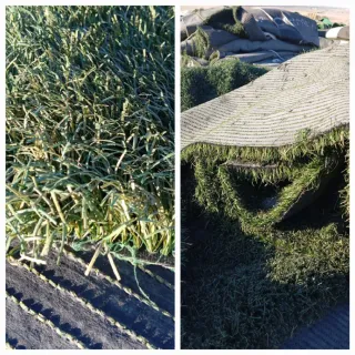 Venta césped artificial