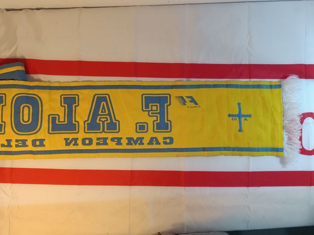 Bufanda Fernando Alonso campeão do mundo Renault