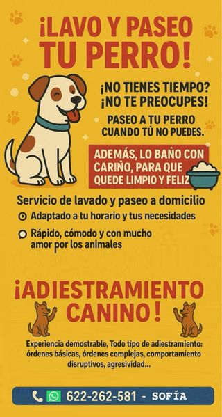 Paseador y adiestradora canina