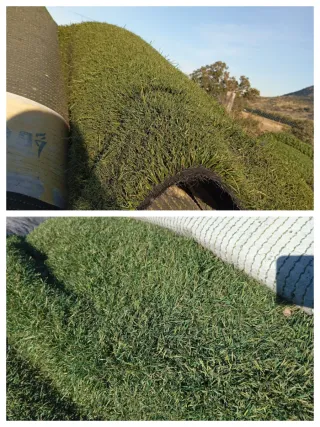 Venta césped artificial