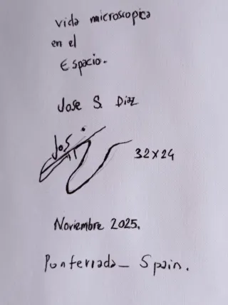 Arte original abstracto vibrante