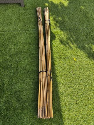 20 Tutores de bambú para plantas