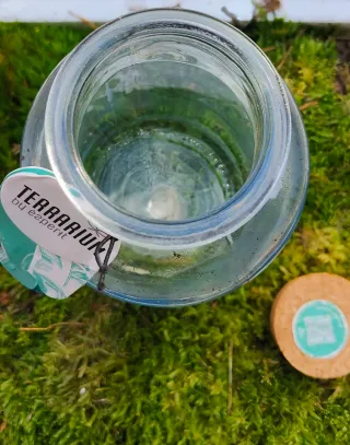 Terrario de cristal con corcho OFERTA