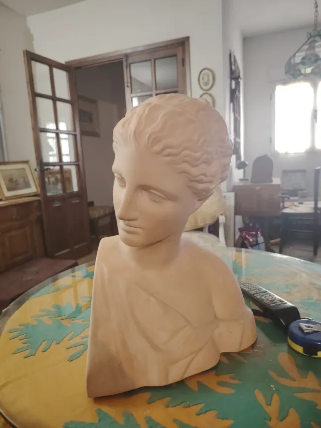 Busto Diana Terracota