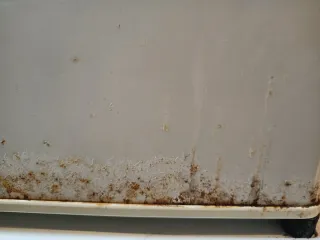 Congelador LG Expresscool