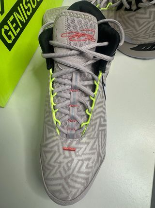 Zapatillas Nike LeBron Genisus Talla 45