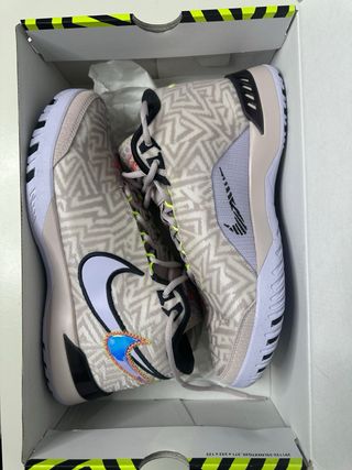 Zapatillas Nike LeBron Genisus Talla 45