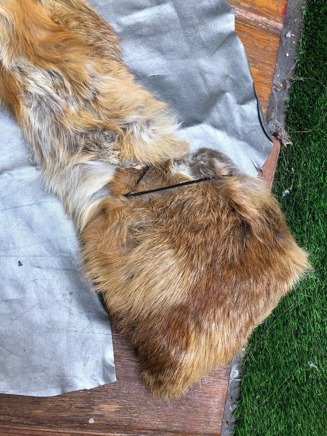 Abrigo de piel moderno