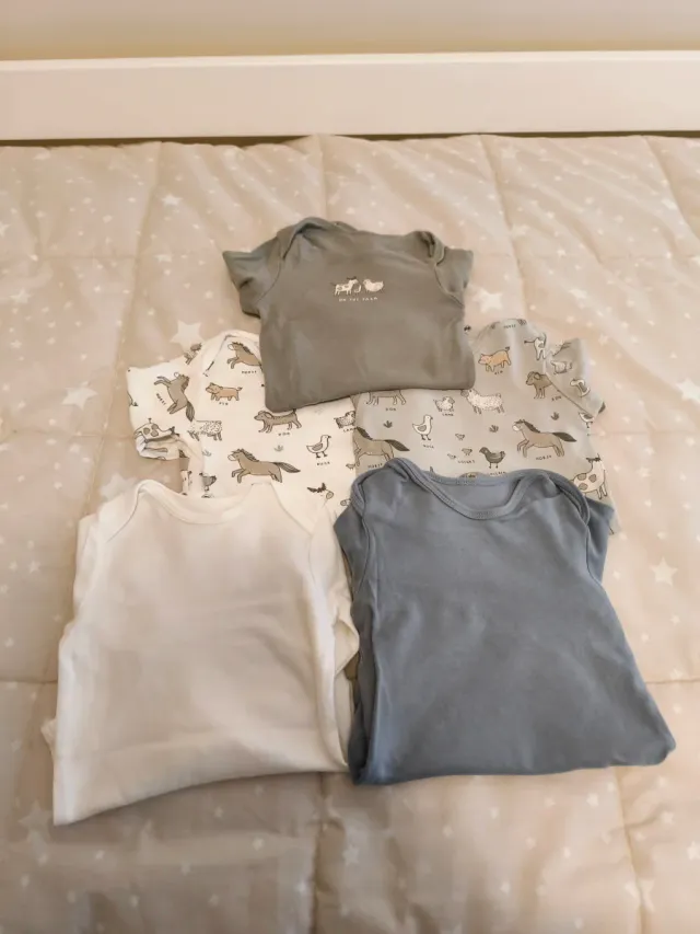 Lote 5 bodys manga larga bebé