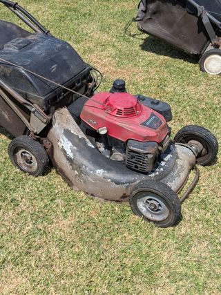 Cortacésped Honda HRH 536 HXE