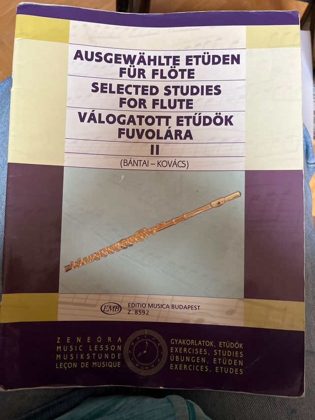 Método de flauta Selected Studies