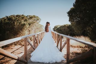 Vestido de Novia Pronovias