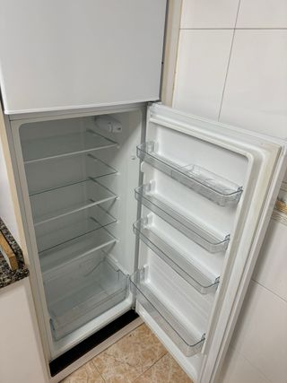 Nevera Teka 55x160x60 cm