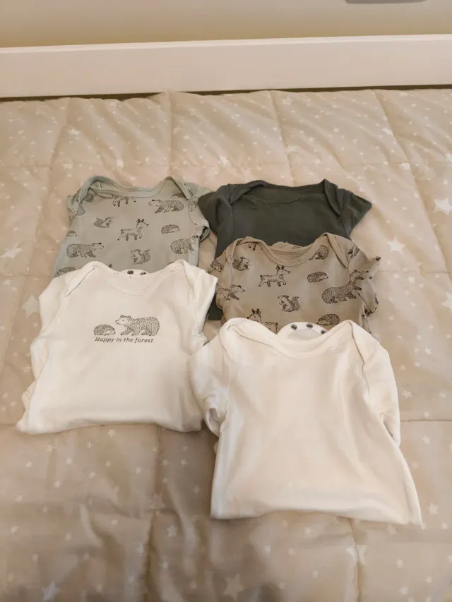 Lote 5 bodys manga larga bebé