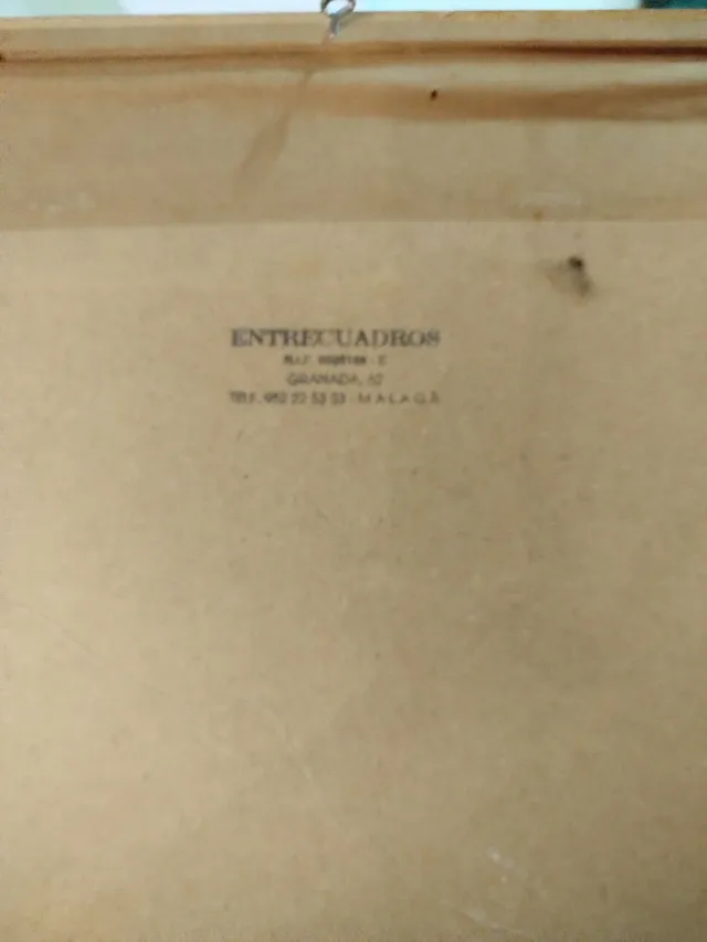 Cuadro original Paloma y Rostro