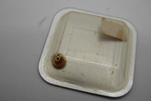 gold vintage 24-301301-8