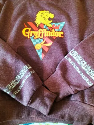Sudadera Harry Potter Gryffindor Original.