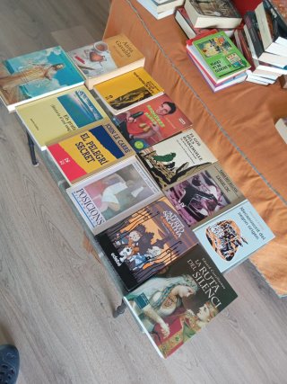 Lote de 12 Libros, texto en Catalán