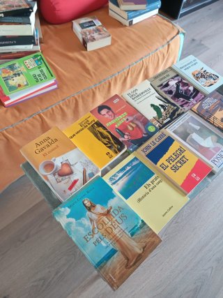 Lote de 12 Libros, texto en Catalán