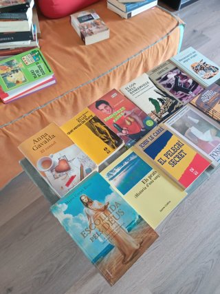 Lote de 12 Libros, texto en Catalán