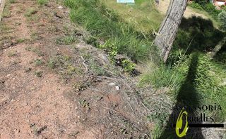 Terreno en venta en Torrelles de Llobregat