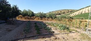 Terreno en venta en Montefrío