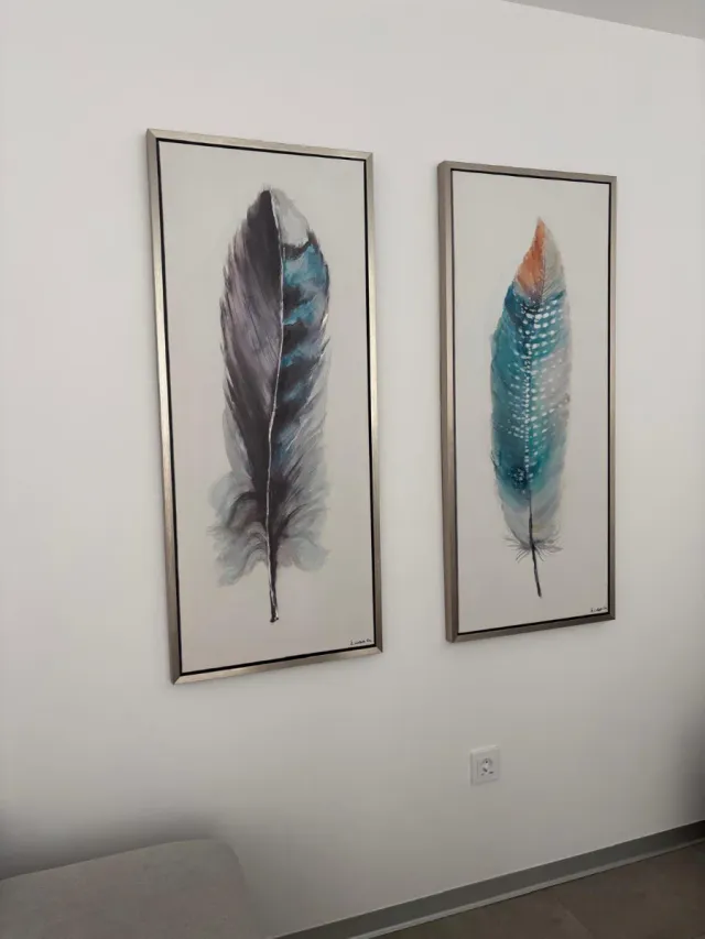 Cuadros Decorativos Pluma