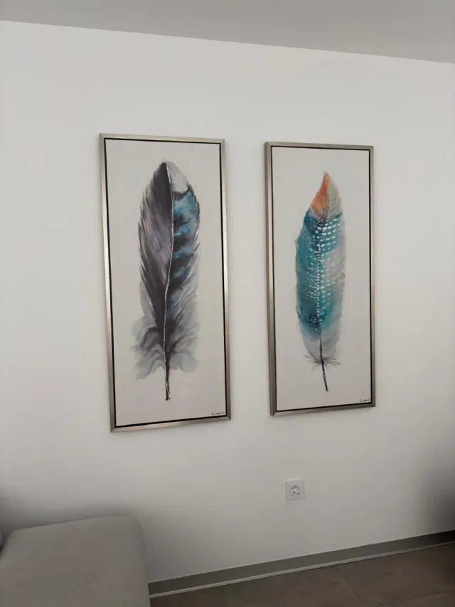 Cuadros Decorativos Pluma