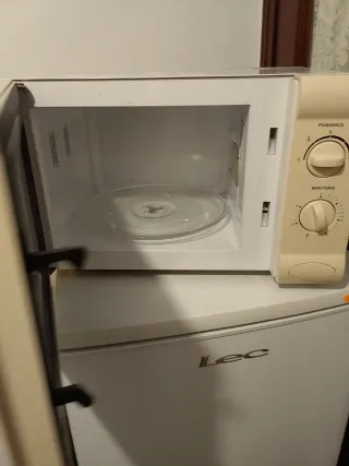 Microondas King D'Home