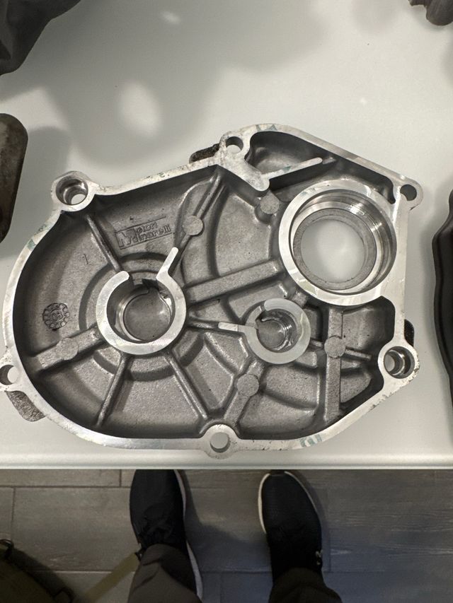 Carter Minarelli Horizontal