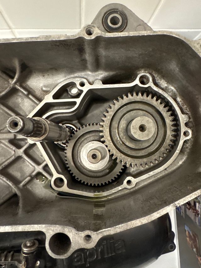 Carter Minarelli Horizontal