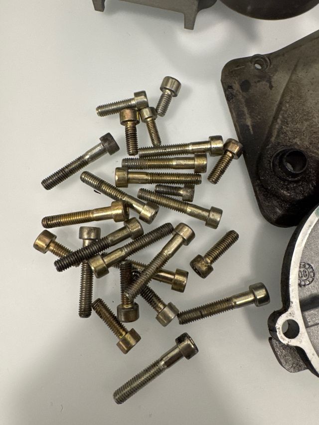 Carter Minarelli Horizontal