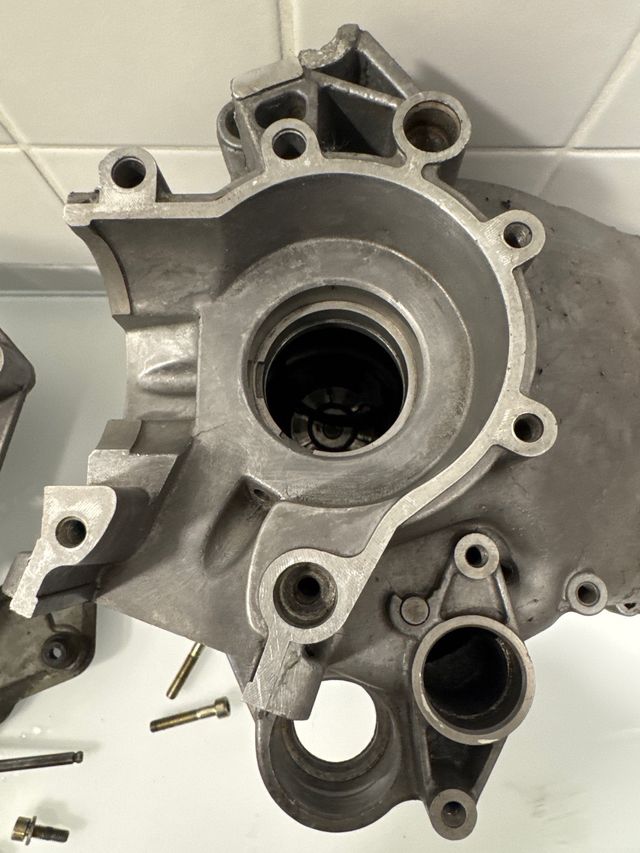 Carter Minarelli Horizontal