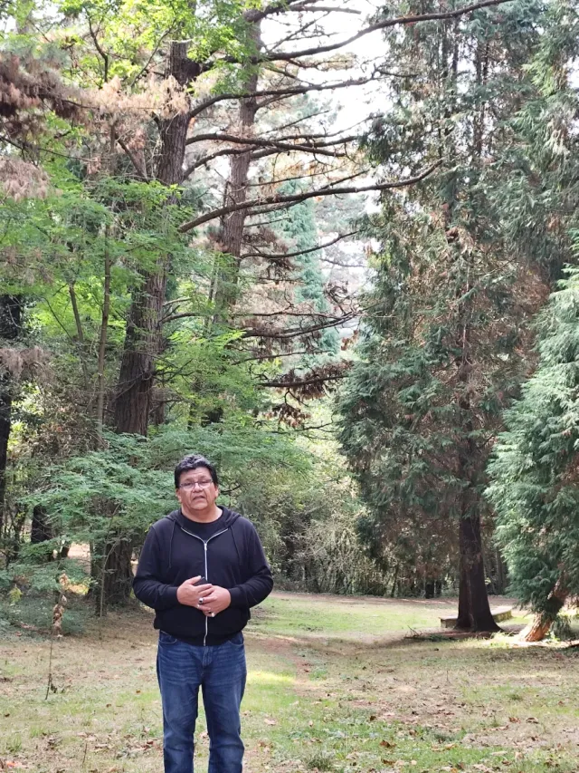 Jardinero con experiencia, responsable y serio