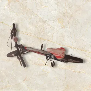 Bici BininBike Everest Bambino